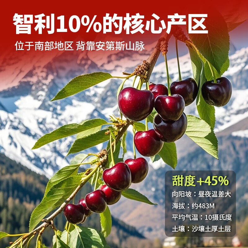 Meiyuexian champion quality Chilean cherries in gift box imported cherries, gift group purchase, SF part can be delivered the next day, 5 catties (net weight), original box ready, not unpacked to keep fresh, more hygienic, scarce fruit king 4J, single fruit 12-14g
