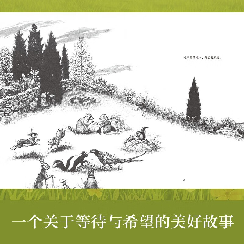 The Ivy International Prize novel Rabbit Slope Newbery Gold Medal for Children's Literature Animal novels, hope and other themes must-read for primary and secondary schools in grades 3, 4, 5 and 6 International Children's Literature Award classics extracurricular reading that affects children's lives