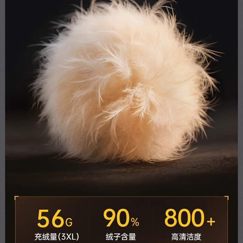 Langsha down pants women's outer wear 2025 winter new minus 40 degree cold-proof pants high-waisted loose warm pants for small people