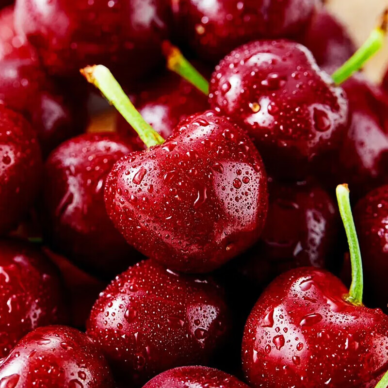 Ziyi imported cherries from Chile JD/SF Express next-day delivery to multiple places 3J4J optional cherry fruit gift box 4 catties (net weight) 5 catties in box gift box gift selection gold diamond gift level 4J Super Big Mac 32-34mm