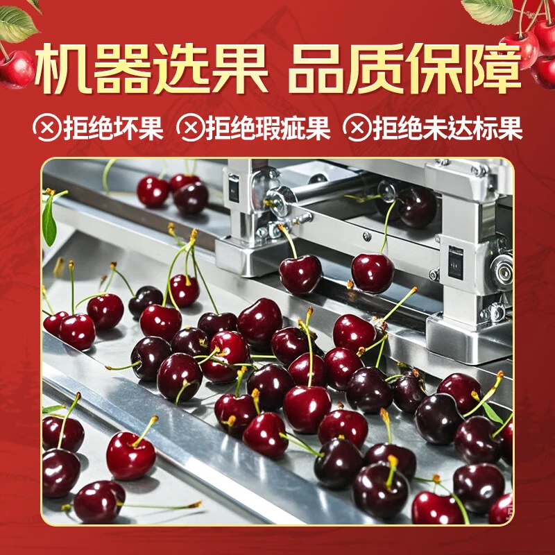 Meiyuexian champion quality Chilean cherries in gift box imported cherries, gift group purchase, SF part can be delivered the next day, 5 catties (net weight), original box ready, not unpacked to keep fresh, more hygienic, scarce fruit king 4J, single fruit 12-14g