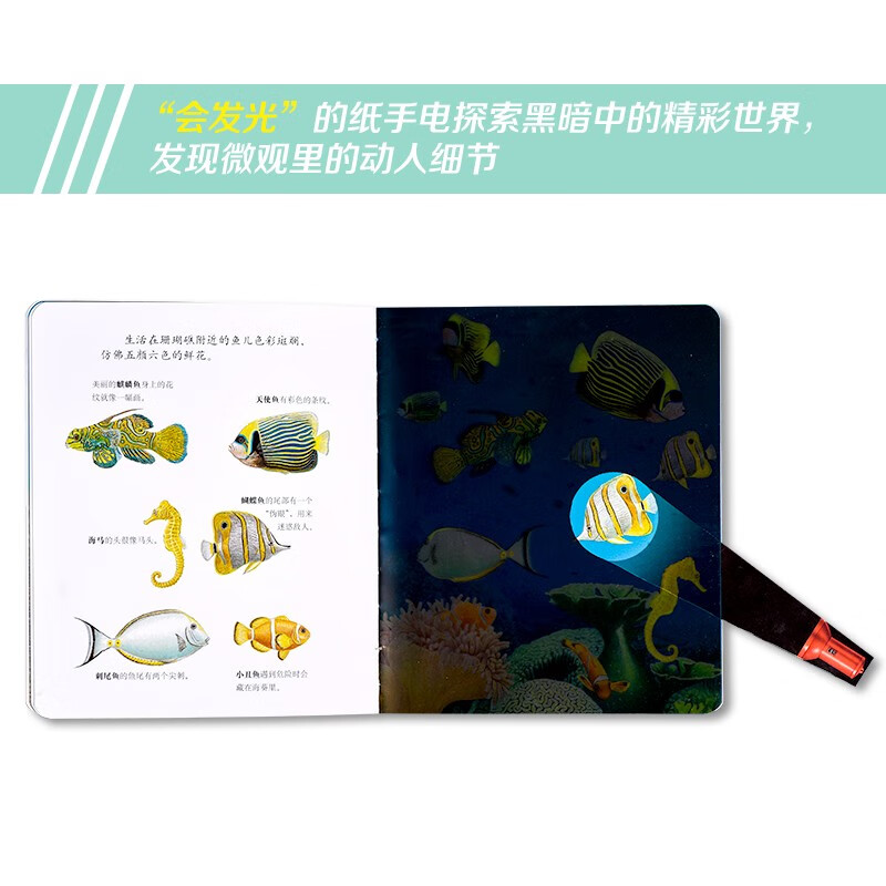 Discovered for the first time the Magic Flashlight Series (set of 20 volumes in total)