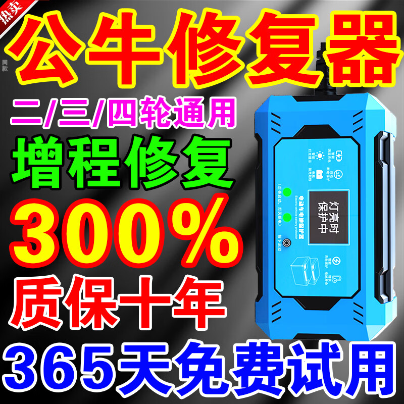 Battery Repairer Pulse Repair Two- and Three-Wheel Electric Vehicles Universal Battery Repair Artifact Battery Automatic Breaker Automatic Power-off 2026 Latest Model - No More Battery Changes