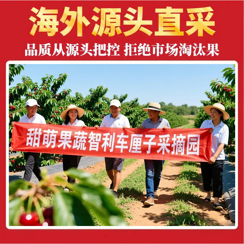 Sweet and cute fruits and vegetables Chilean cherries JD/SF Express - next-day delivery to many places Big cherry fresh fruit New Year's gift gift box 3 pounds (net weight) Supreme 4J Premium Fruit King 32-34mm gift box