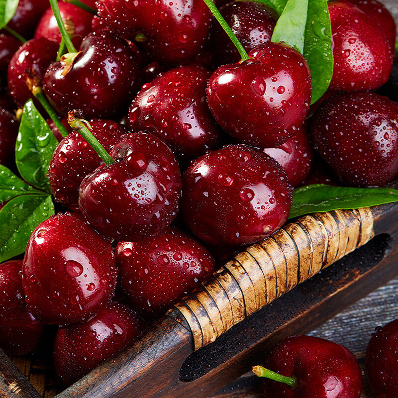 Fresh Premium Chilean Cherries JD/SF Next Day Delivery to Multiple Places Imported Fresh Big Cherries Seasonal Fruit Gift Box 1.8kg (net weight) Affordable Family Gift Box Super Big Mac 4J Single Fruit 32-34mm