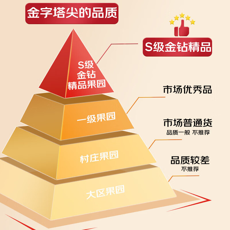 Guoxuan Chilean cherries JD - next-day delivery to many places. Cherry imported fruit gift box packed with new year gifts for parents. 2 pounds (net weight) (cost-effective package) early adopter gift box. Luxury grade. Solid and crisp. 4J Golden Diamond Fruit King 32-34mm.