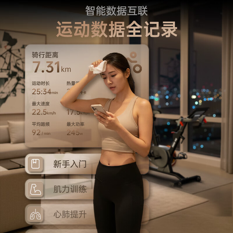 Lidong RIDO spinning gym-level home smart magnetically controlled sports equipment silent indoor bicycle CX20