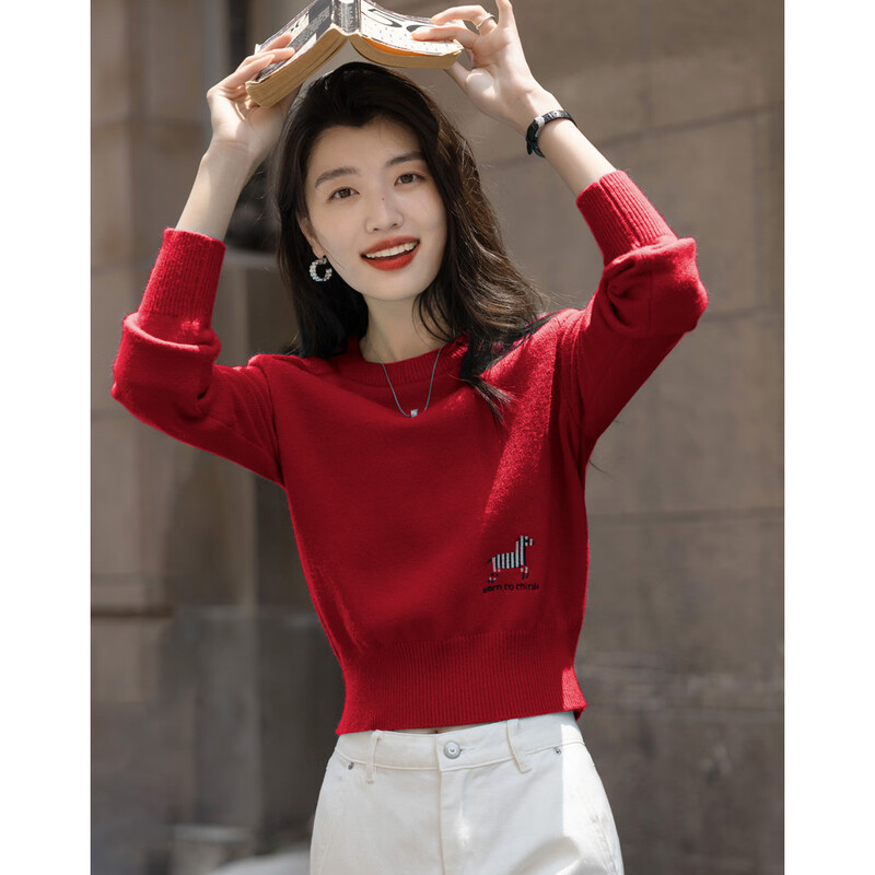 Demana Salt Wind Roaming Winter Dopamine Round Neck Embroidered Sweater Small Soft Elastic Tolerance Sweater Women's Top