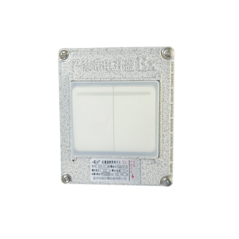 CXFB explosion-proof switch explosion-proof wall switch dual-control lighting switch with rain cover SW-10 two open 1 piece