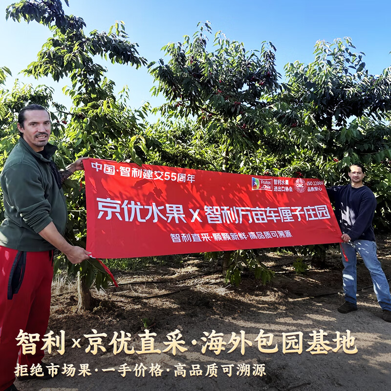 Uncle Sam's Chilean Cherries JD - next-day delivery to many places 2.5kg 4J grade imported cherry fruit gift box New Year's gift box 5kg (net weight) for the whole family to share - the most cost-effective quality gift box black diamond level solid and crisp 4J Super Fruit King 32-34mm