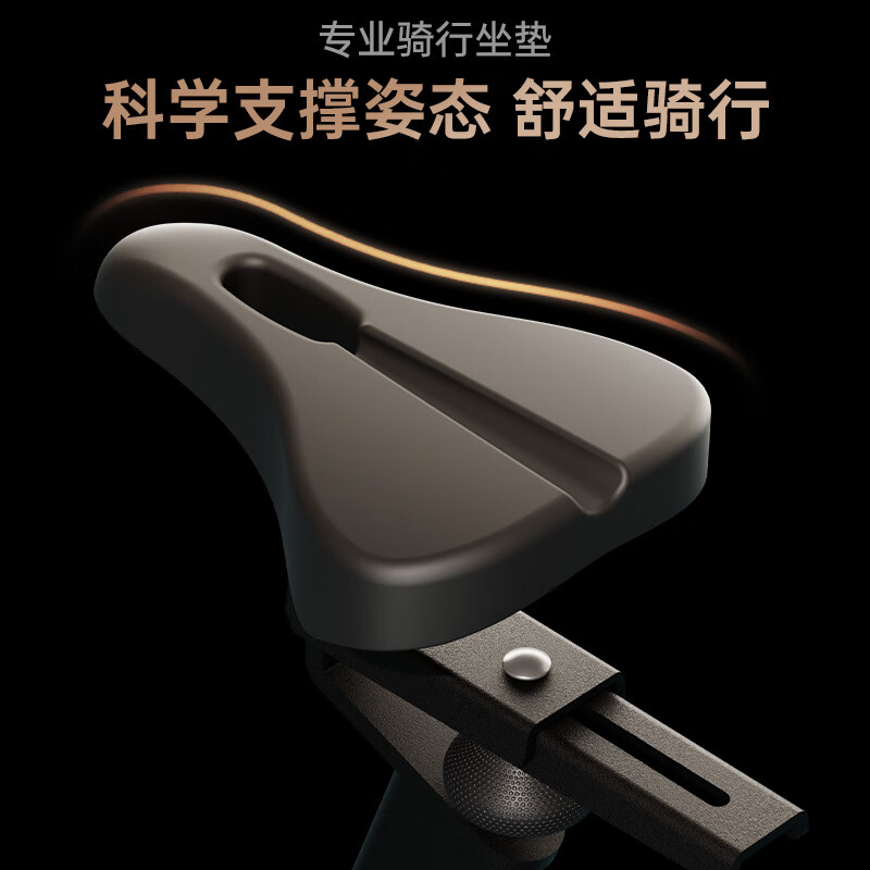 Lidong RIDO spinning gym-level home smart magnetically controlled sports equipment silent indoor bicycle CX20