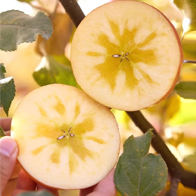 Rock candy heart apple fresh fruit red Fuji season whole box 5 pounds Shaanxi seasonal ugly apple flat fruit single fruit 70mm + 1 piece