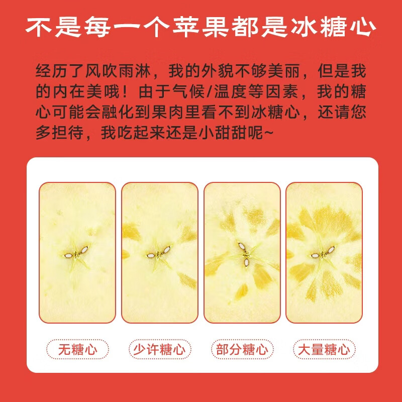 Top Fruit Industry Luochuan Apple Shaanxi Yan'an Red Fuji Fresh Fruit Crisp and Sweet Rock Candy Heart Apple for Pregnant Women 12 Pieces 75mm Medium Fruit Gift Box