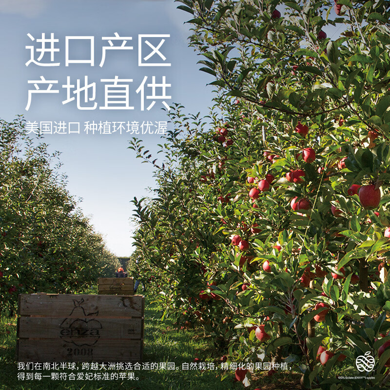 Aifei American Apple, 8 pieces of super large fruit, fruit gift box, imported fresh food, single fruit starting from 200g, shipped directly from the source