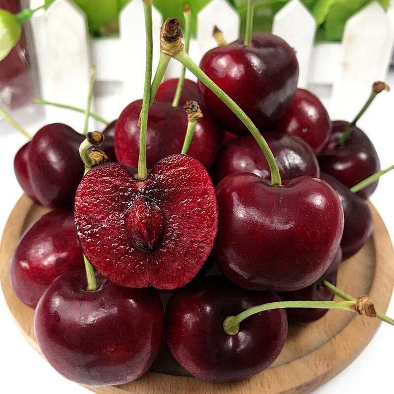 Fresh Premium Chilean Cherries JD/SF Next Day Delivery to Multiple Places Imported Fresh Big Cherries Seasonal Fruit Gift Box 1.8kg (net weight) Affordable Family Gift Box Super Big Mac 4J Single Fruit 32-34mm