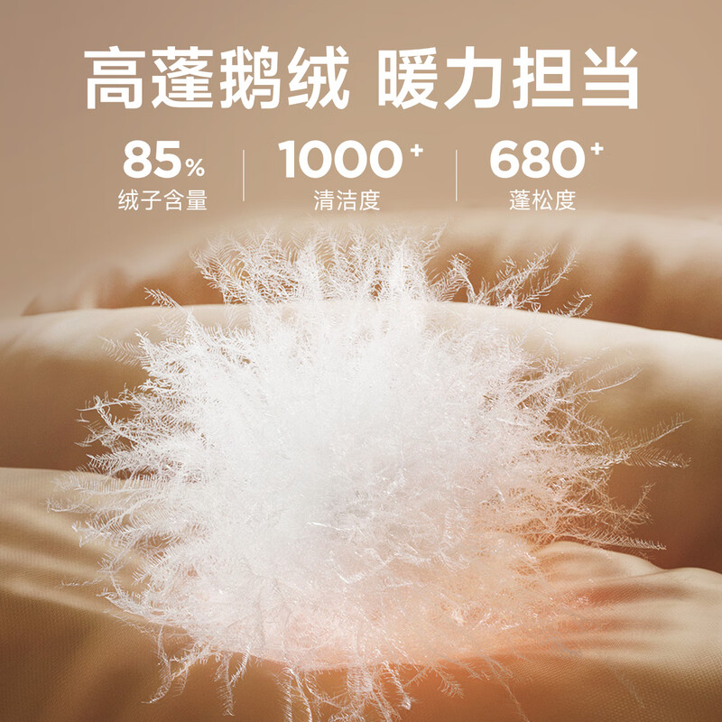 Septwolves Goose Down Down Jacket Men's Winter Stand Collar Moisture Absorbent Short Thick Men's Jacket Black XL