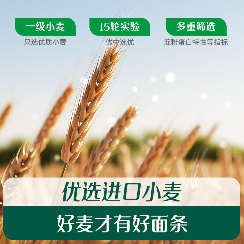 Engnice Infant Noodles Pork Liver and Spinach Flavor 175g Baby Complementary Food Infant and Children Breakfast Noodles Purchasing and Sales Testing Factory