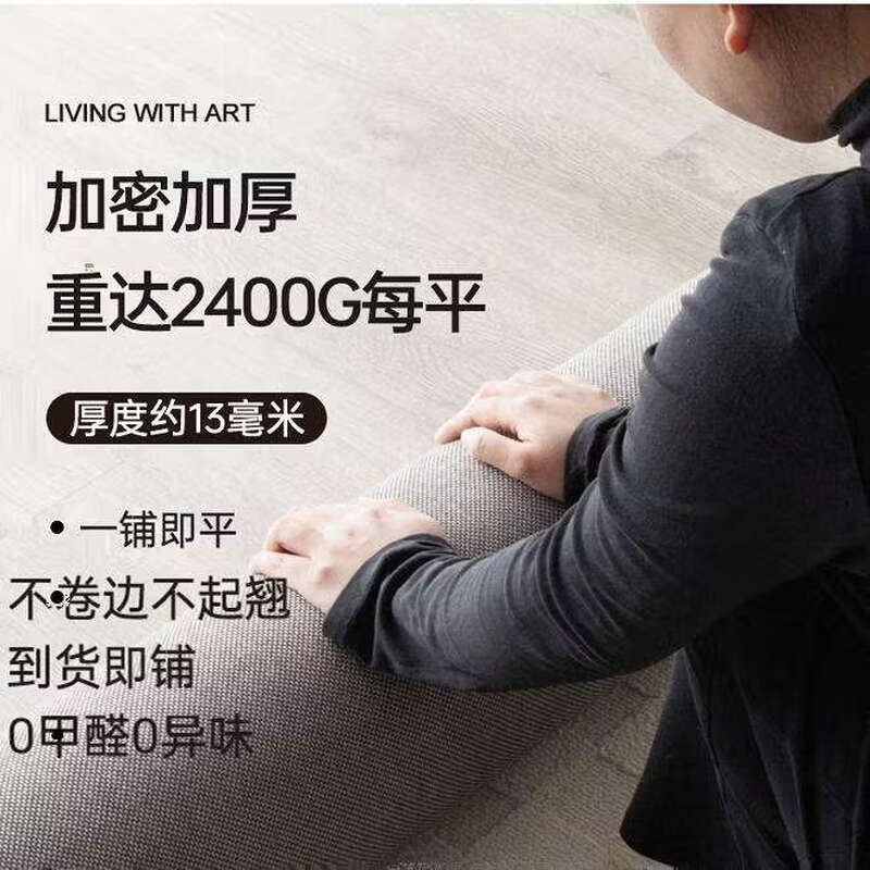 Yusenyi Diatom Silk Living Room Waterproof Large Carpet Mat No-Clean and Wipeable Bedroom Sofa Premium Lanka 01 Waterproof Diatom Silk 200cmx300cm