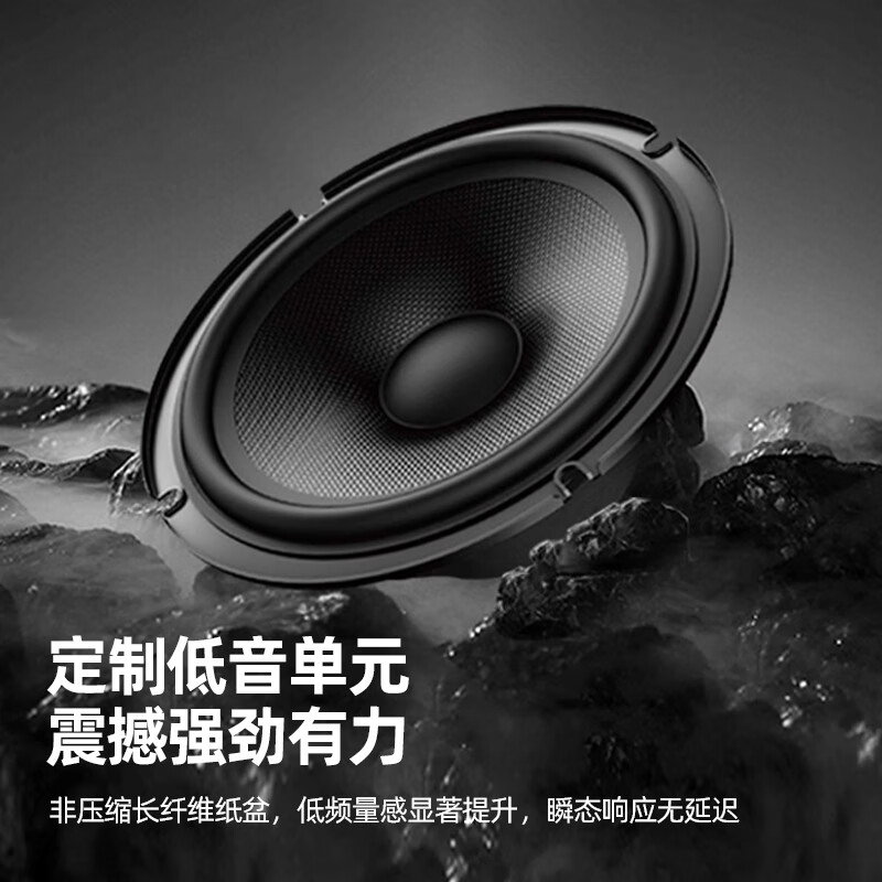 Philips (PHILIPS) CSS1350 home ktv audio set singing complete equipment karaoke karaoke machine audio 10-inch set professional karaoke home stage performance speakers