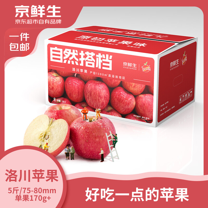 Jingxiansheng Shaanxi Luochuan Red Fuji Apple Net Weight 5kg 75-80mm Single Fruit 170g + Fresh Fruit Straight from the Source