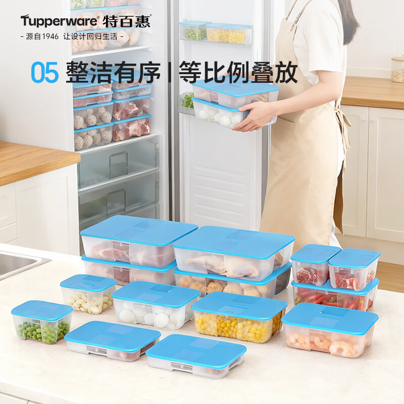 Tupperware frozen 700ml*2 food-grade refrigerator storage box meat quick-freezing quick-unsealing random color