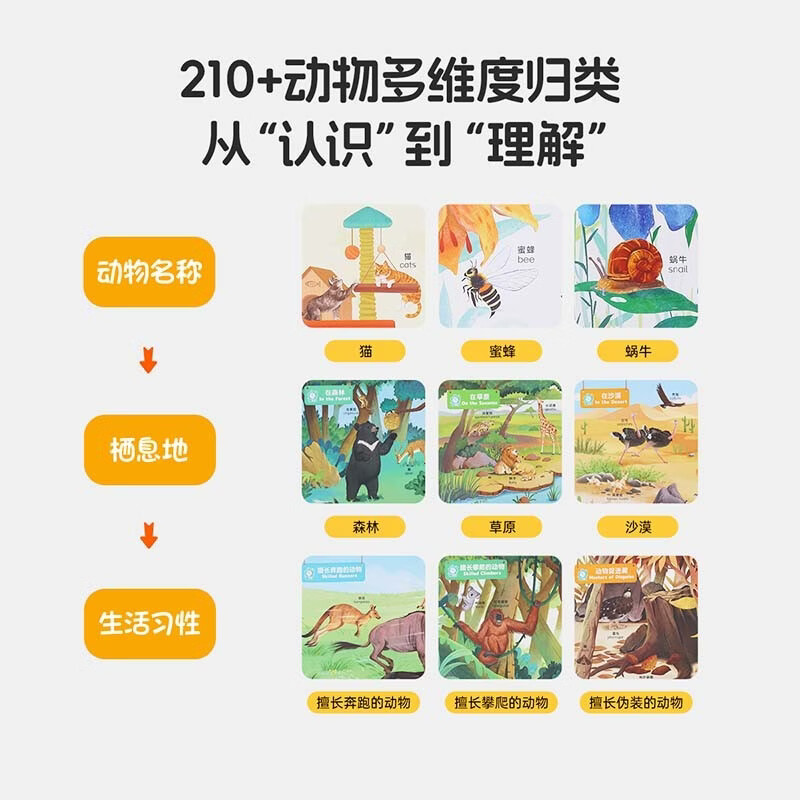 Little Been Click-to-Read Edition Bilingual Encyclopedia of Animal Cognition Caterpillar Click-to-Read Picture Book Children's Enlightenment Cognition 0-3 years old