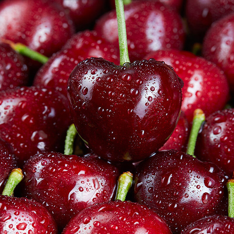 Fresh Premium Chilean Cherries JD/SF Next Day Delivery to Multiple Places Imported Fresh Big Cherries Seasonal Fruit Gift Box 1.8kg (net weight) Affordable Family Gift Box Super Big Mac 4J Single Fruit 32-34mm