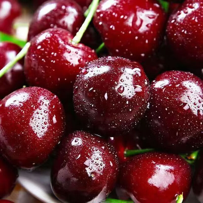 Jingdida Chilean cherries 4J grade fruit king 1.8 catties single fruit 32-34mm fresh fruit gift box direct from source with free shipping