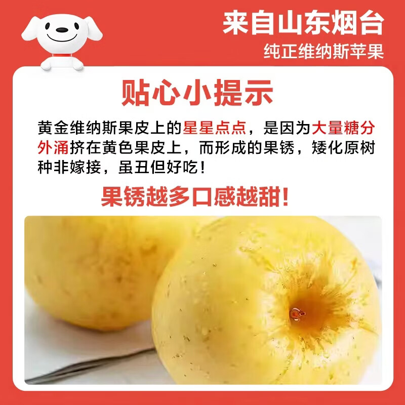 Jingxiansheng Shandong Venus apple net weight 3 catties single fruit 200g fresh fruit direct from the source with free shipping