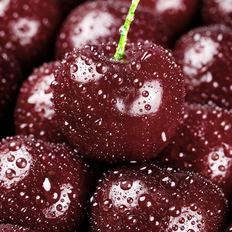 Fresh Premium Chilean Cherries JD/SF Next Day Delivery to Multiple Places Imported Fresh Big Cherries Seasonal Fruit Gift Box 1.8kg (net weight) Affordable Family Gift Box Super Big Mac 4J Single Fruit 32-34mm