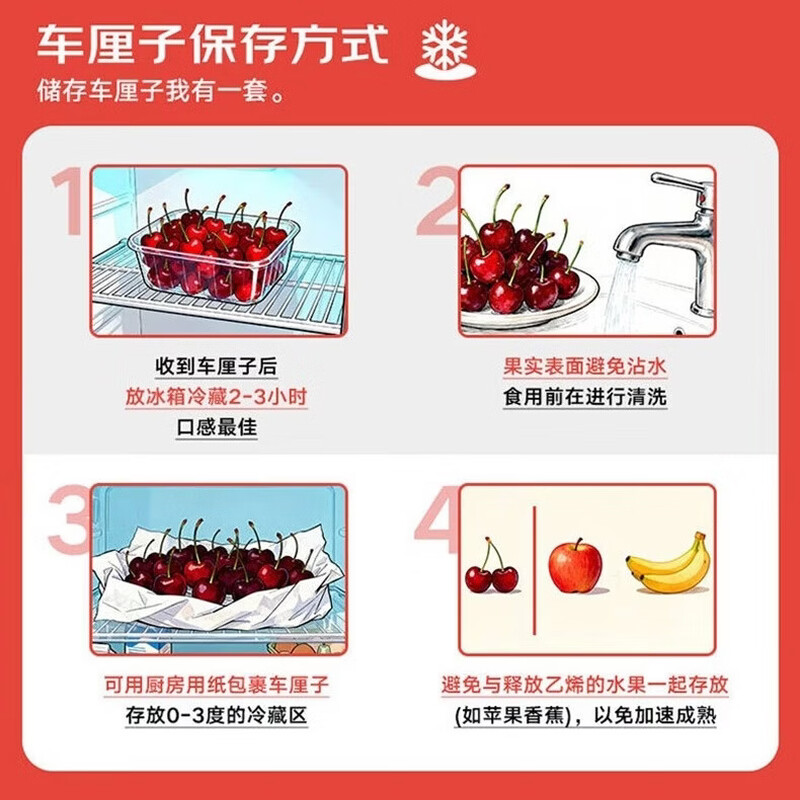 The No. 1 member store has a special New Year card to send Chilean imported cherries 2J 28-30mm 5 catties + 12 boxes * 20 eggs that can be eaten raw