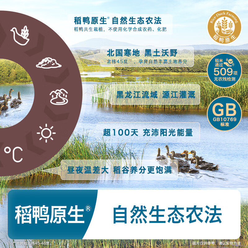 Heyangyang Infant Rice Cake Original Flavor 51.2g (32 pieces) Baby Snacks Rice Duck Original High Calcium 6 Months+