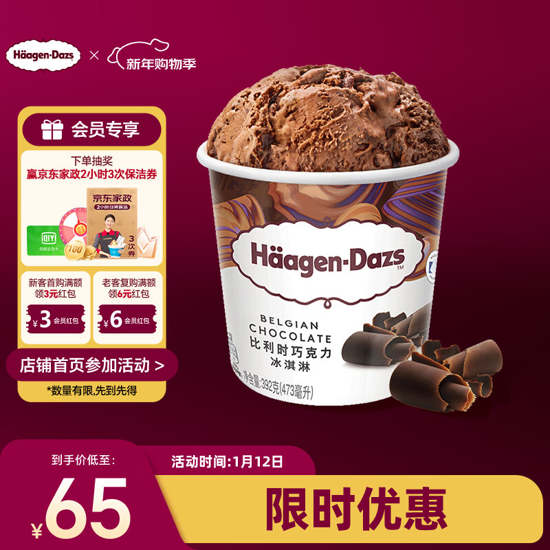 Haagen-Dazs Belgian chocolate flavored vat ice cream 473ml family size