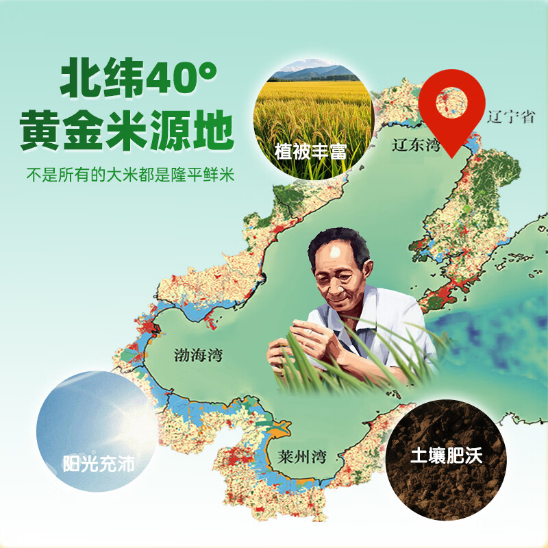 Yuan's Farm Longping Fresh Rice Baby Label Strawberry Cereal Teething Cake Puff Stick Baby Snacks No Added Salt Non-Fried Food Supplement