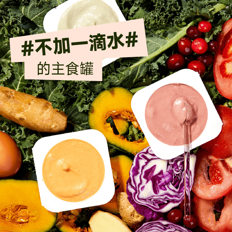 Tail Life Full Price Like Mud New Product Gift Box 35g*24 Cups Canned Cat Staple Food for Kittens Wet Cat Food