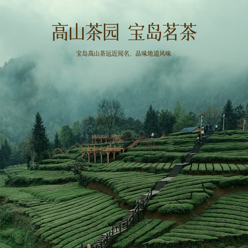 Jingshiyue Specialty High Mountain Frozen Top Oolong Tea Gift Box for Drinking for Yourself Yuling High Cold Green Tea Leaves for Elders During the Mid-Autumn Festival Xiamen Special Tea Snacks 12 Cake 12 Flavors 300g