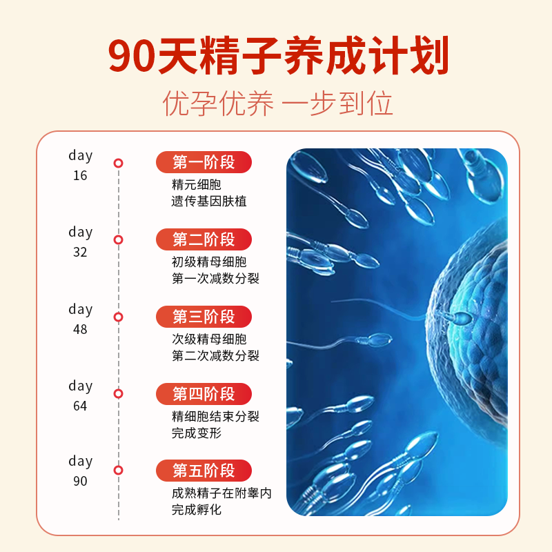 L-CALORIE with Inbenui Lycopene Xiaohongbao SENIUMAWAY protects men's vitality and improves the quality of pregnancy preparation. 3 bottles of frequent urination, urgent urination and incomplete urination_Select