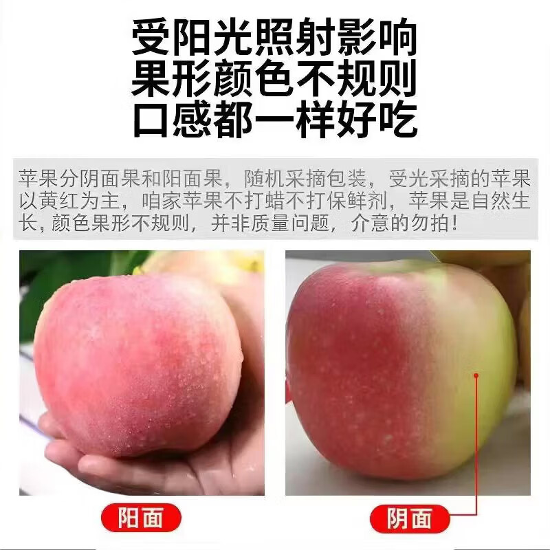 Aksu Apple, Xinjiang Aksu Rock Candy Apple, fresh seasonal fruit, crispy and sweet red Fuji, recommended as a gift, Ping An fruit, 10 catties in box, single fruit 75-80mm, net weight 8.5 catties
