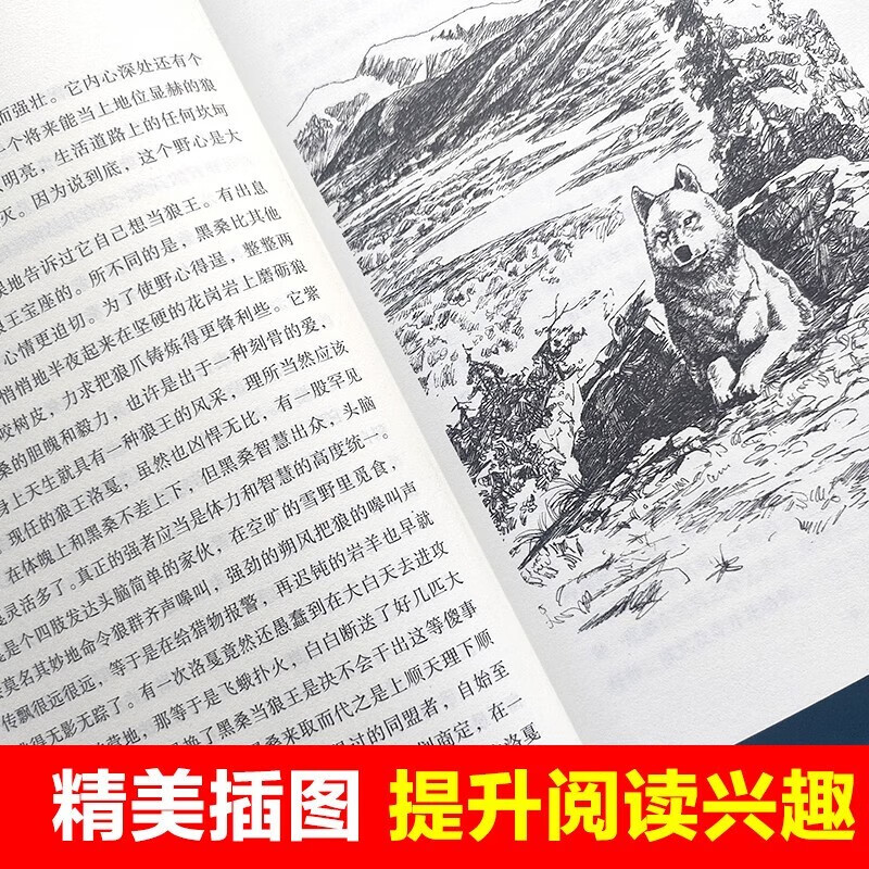 Dream of the Wolf King, a century-old Chinese children's literature classic book series, must-read extracurricular books for primary school students in grades 3, 4, 5 and 6, reading list and story books