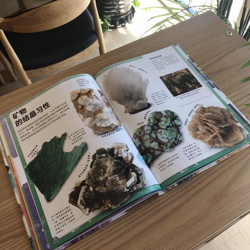 DK Children's Gem Bible Little Mammoth Children's Book (Hardcover)