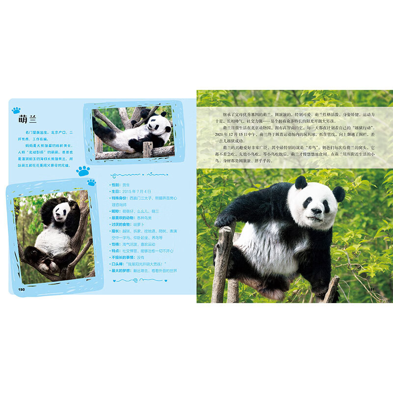 Guolai! Giant Panda This is an original giant panda encyclopedia that explains the knowledge of giant pandas from all aspects and from multiple angles. It contains precious pictures of giant pandas and records wonderful moments such as games, eating, and fighting. It also specially includes the profiles of celebrity pandas Huahua, Heye, Menglan, and Qizai.