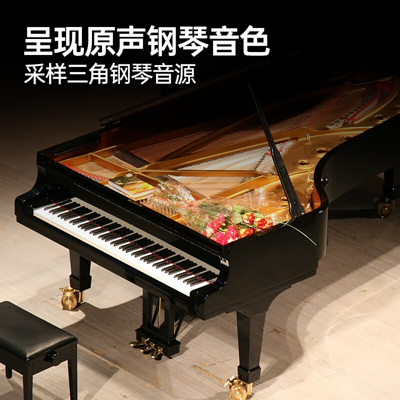 Terrence Electronic Piano 88 Keys Intelligent Folding Piano for Adults and Children X61A/V20 Hand-rolled Piano Keyboard Instrument V20 Fashion White + Special Piano Bag