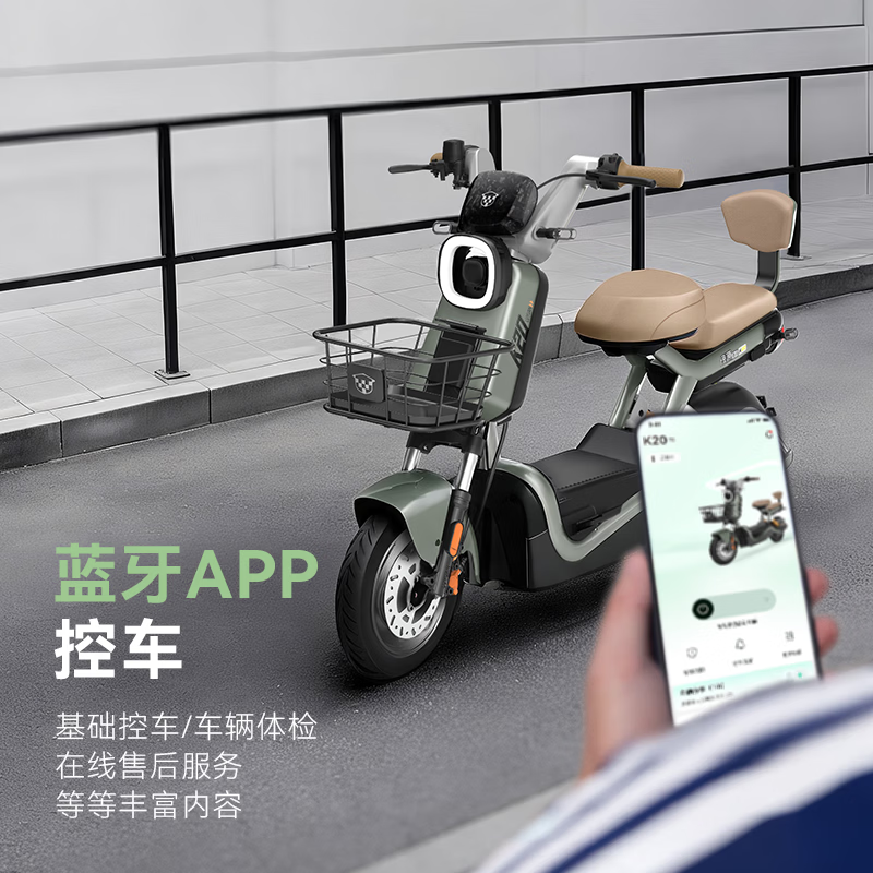 Luyuan Store Pickup K20 Intelligent Electric Bicycle Anti-Flame Retardant Pedal Battery Bike for Adults' Daily Commuting to Work Go to the store to choose the color