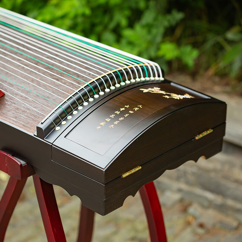 Xunyin guzheng advanced collection playing guzheng professional grading guzheng national plucked instrument