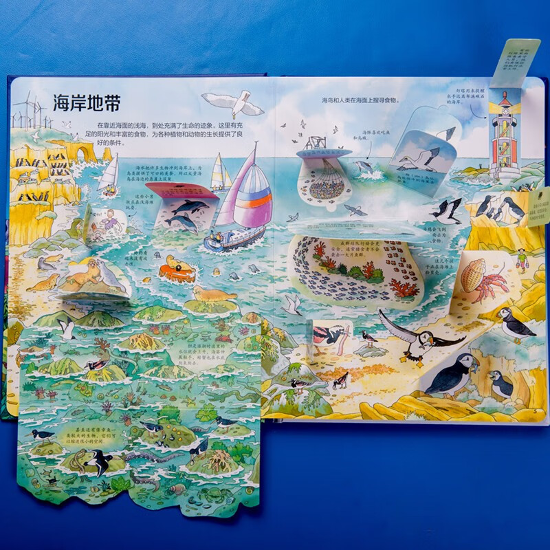 Usborne looks inside and reveals the secrets of the ocean (new version)