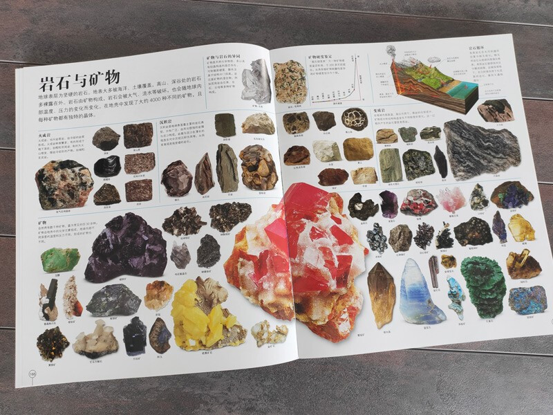 DK Encyclopedia of Everything, hardcover collection, every page is an encyclopedia, general science for primary school students, knowledge collection for 6-14 years old, one-stop solution to all questions