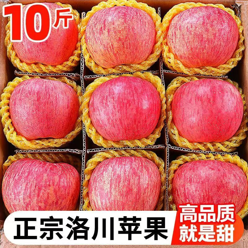 Shaanxi Luochuan Alpine Red Fuji Apple 10 catties. Fresh seasonal fruit, crisp, sweet and juicy. Whole box picked from the origin. 9-10 catties large fruit in a box.