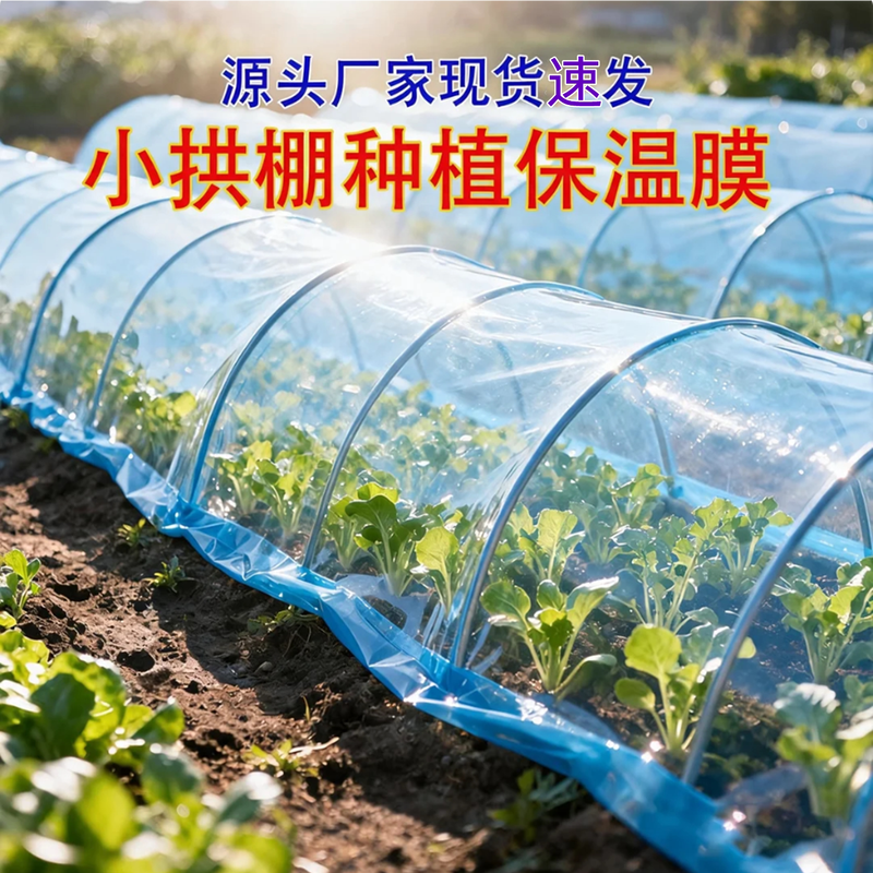 Small shed insulation film 4S film greenhouse two-film plastic film for seedlings and flowers special vegetable planting agricultural film 4 wires new material - light blue 6.5 meters wide 100m long