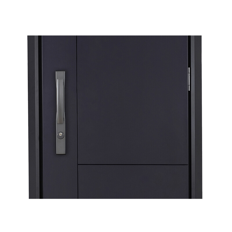 HELE DOORS HELE DOORS Grade A door - Hexing Light luxury and simple style Anti-theft entry door Steel door Customizable 2050*1180 double and double doors