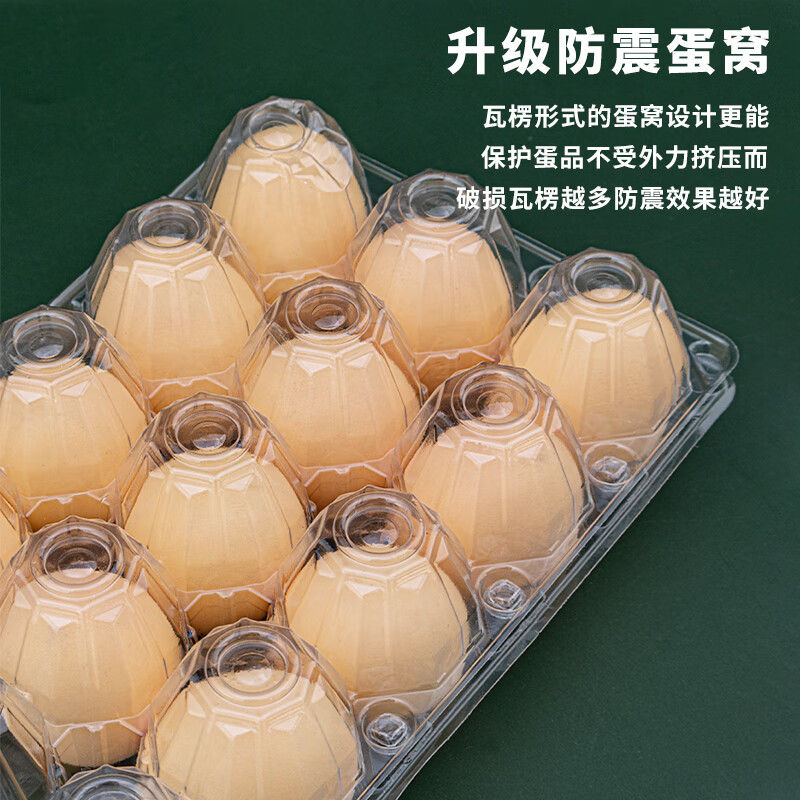 Magic City egg tray disposable plastic egg gift box shock-proof transparent duck egg native chicken quail thickened packaging box 15 pieces - transparent 100 pieces